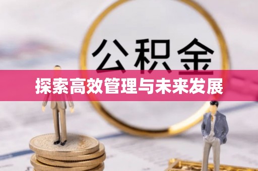金城江探索高效管理与未来发展