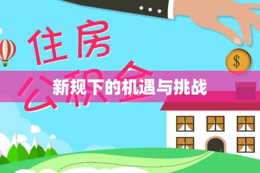 金城江新规下的机遇与挑战