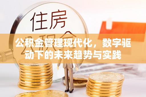 金城江公积金管理现代化，数字驱动下的未来趋势与实践