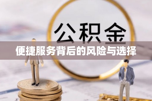 金城江便捷服务背后的风险与选择