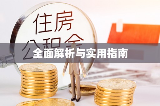 金城江全面解析与实用指南