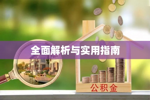 金城江全面解析与实用指南